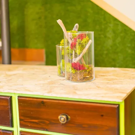 Apartament E-home *